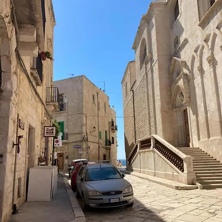 Semper Invictus Apartment - Palazzo Framarino Dei Malatesta - XIV Century Giovinazzo Exterior photo